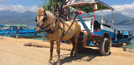 Villa Sepoi Sepoi - Things to do 12